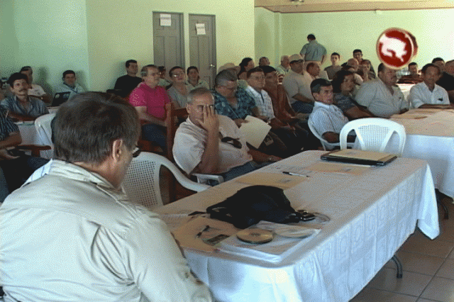 Participantes. Participantes.