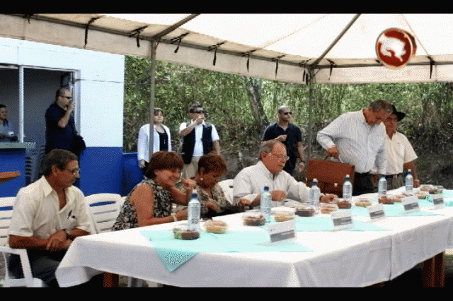 En la entrega. En la entrega.