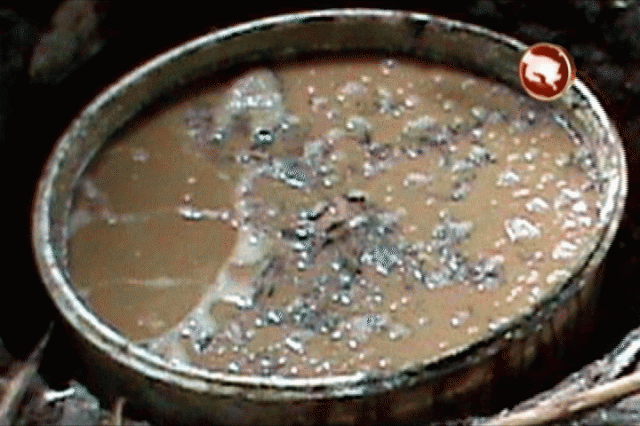 Parte del decomiso. Parte del decomiso.