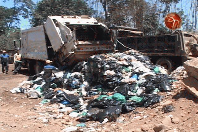 Basura llega al Plantel y luego la llevan a Osa. Basura llega al Plantel y luego la llevan a Osa.