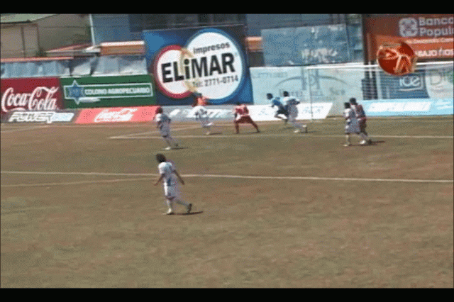 Siguen triunfando. Siguen triunfando.