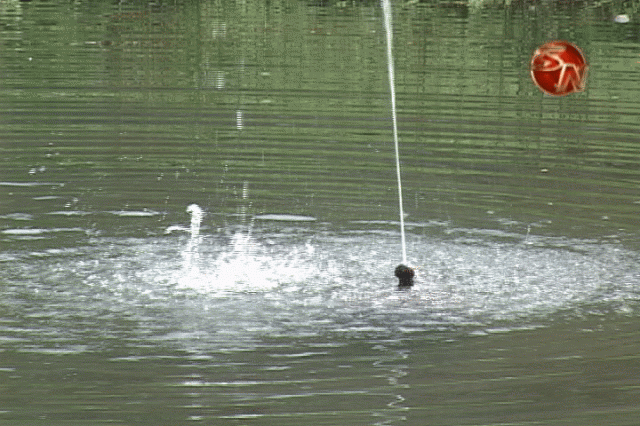 Fudebiol adquirió más hectáreas. Fudebiol adquirió más hectáreas.