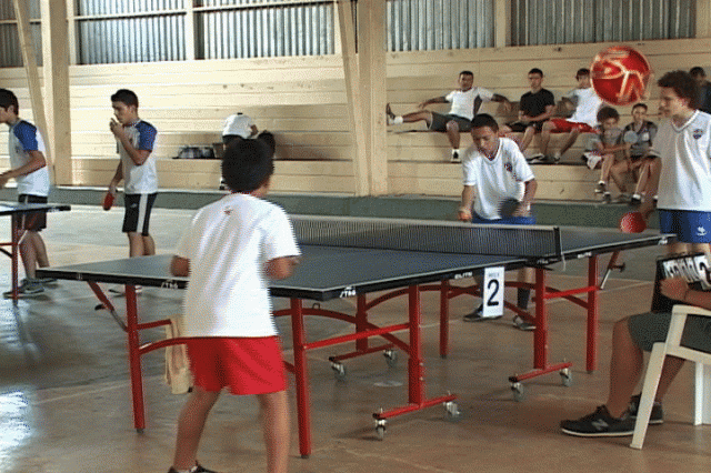 La Final será en Pedregoso. La Final será en Pedregoso.