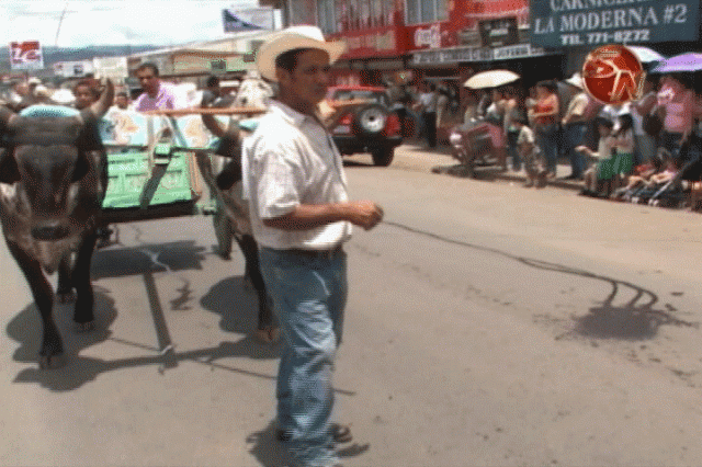 Transmitiremos en vivo el desfile. Transmitiremos en vivo el desfile.