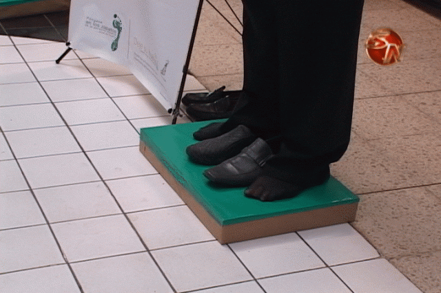 Realizaron una demostración. Realizaron una demostración.