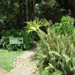 Monumento al Agua