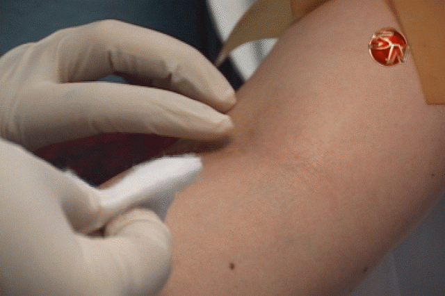 14 de junio, Día Mundial del Donador de Sangre. 14 de junio, Día Mundial del Donador de Sangre.