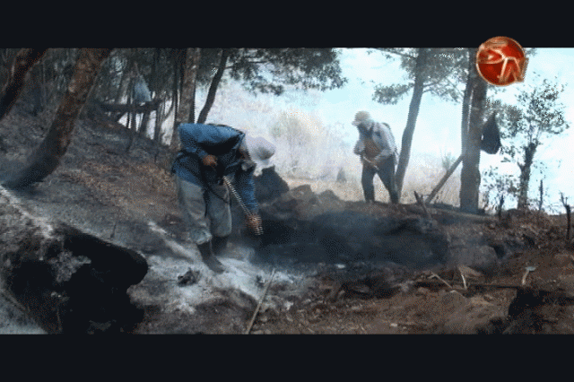 En San Miguel hubo un incendio forestal. En San Miguel hubo un incendio forestal.