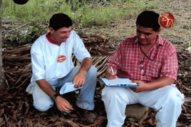 Registran las siembras. Registran las siembras.