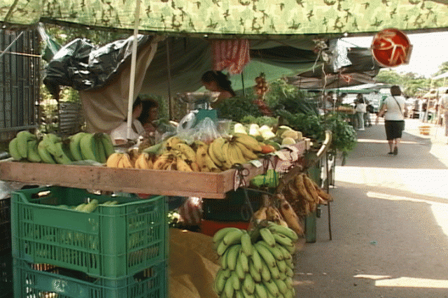 Se realiza los jueves. Se realiza los jueves.