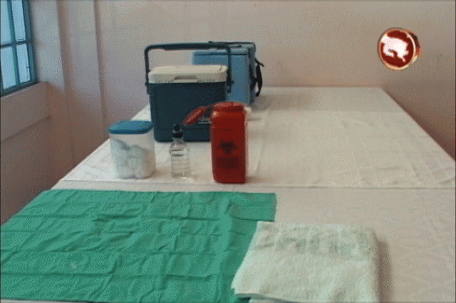 Vacunaron el 90% de los adultos mayores. Vacunaron el 90% de los adultos mayores.