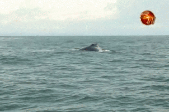 Este viernes inicia el Festival. Este viernes inicia el Festival.