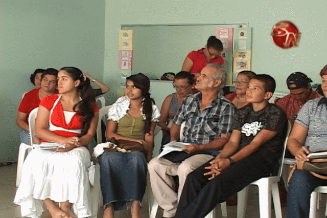 Integrantes de los Comités. Integrantes de los Comités.