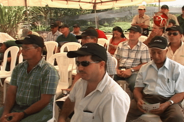 Productores esperan solucionar problema. Productores esperan solucionar problema.