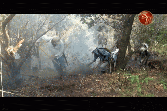 El incendio consumió 156 hectáreas. El incendio consumió 156 hectáreas.