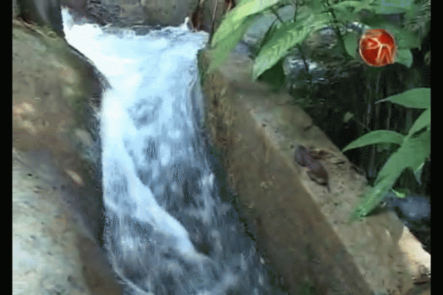 Tienen un plazo de año y medio. Tienen un plazo de año y medio.