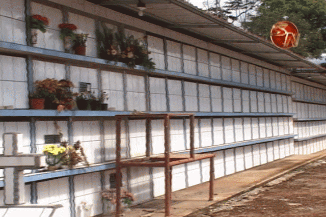 Construyeron un condominio con 230 nichos. Construyeron un condominio con 230 nichos.