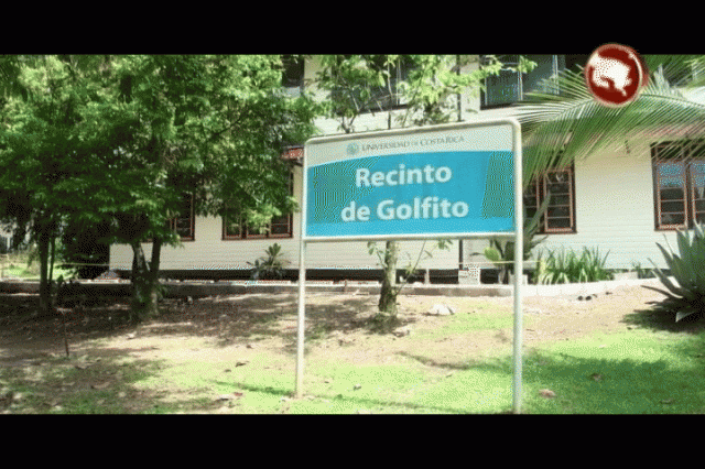 En Golfito comenzó la capacitación. En Golfito comenzó la capacitación.