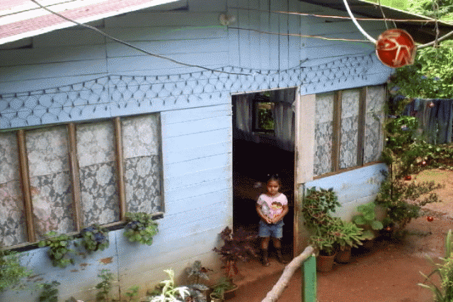 Visitaron las casas de los niños. Visitaron las casas de los niños.