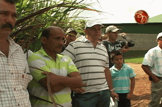 Hicieron un día de campo. Hicieron un día de campo.