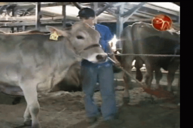 Ya comenzó organización. Ya comenzó organización.