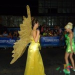 IX Desfile Festival Luces del Valle - 2012
