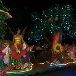 IX Desfile Festival Luces del Valle - 2012