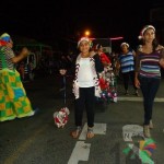 IX Desfile Festival Luces del Valle - 2012