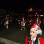 IX Desfile Festival Luces del Valle - 2012
