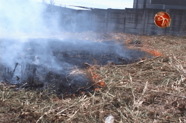 Épocas secas sin propensas a incendios. Épocas secas sin propensas a incendios.