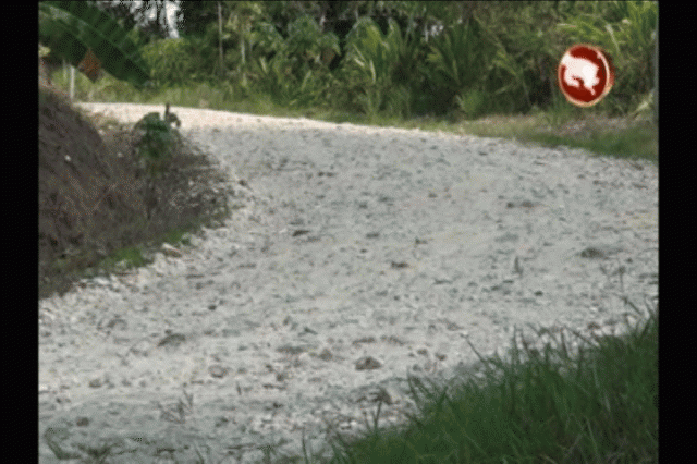 Foto de Vecinos viven un calvario con 100 metros de carretera en mal estado Vecinos viven un calvario con 100 metros de carretera en mal estado