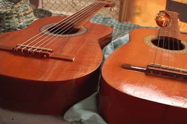 Construye guitarras. Construye guitarras.