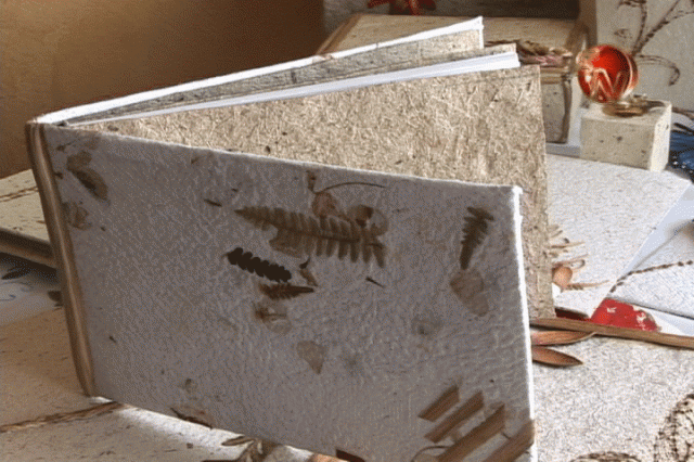 Los trabajos que hace. Los trabajos que hace.