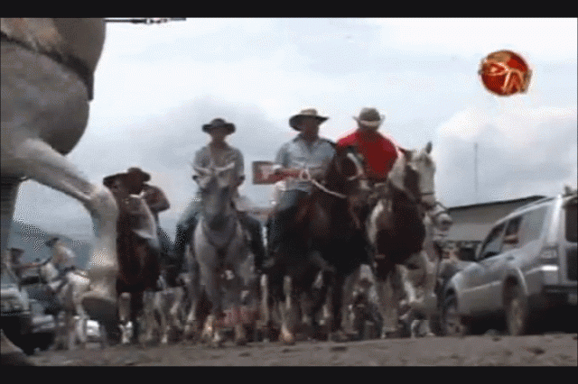 Colabore con la escuela de Santa Cruz. Colabore con la escuela de Santa Cruz.