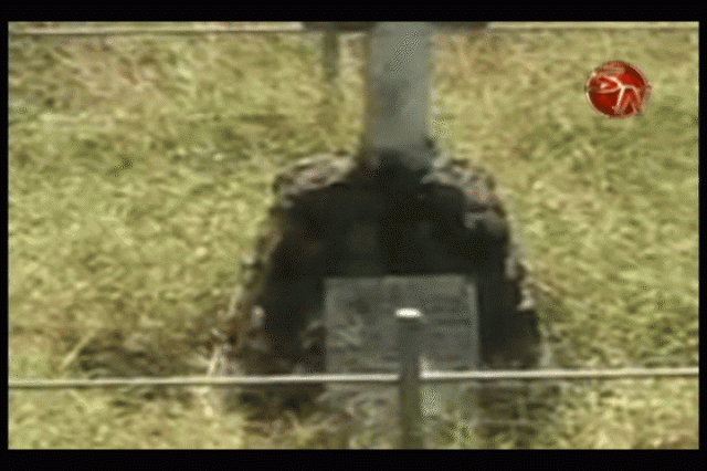 Monumento a los Caídos. Monumento a los Caídos.