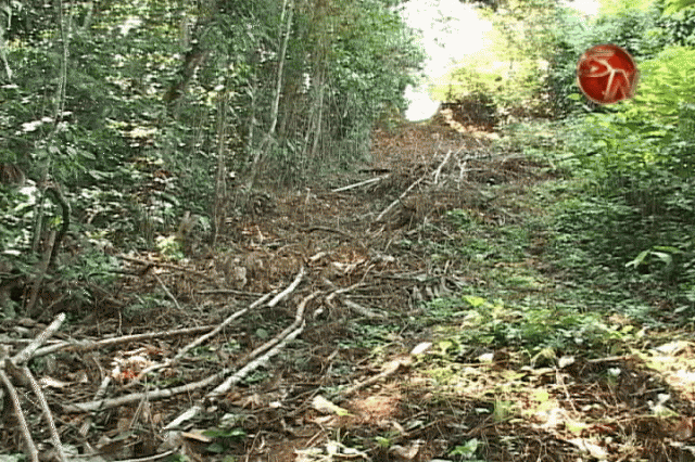 Paso es un peligro para estudiantes. Paso es un peligro para estudiantes.