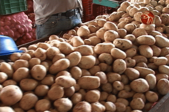 No deje para último la declaración de bienes. No deje para último la declaración de bienes.