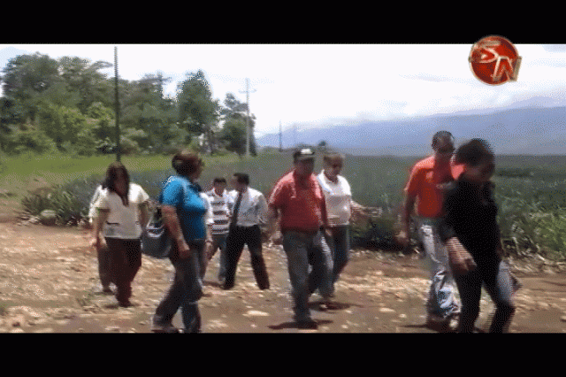 Visitaron varios terrenos. Visitaron varios terrenos.