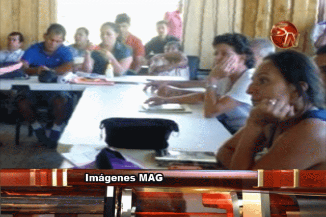 Participantes. Participantes.