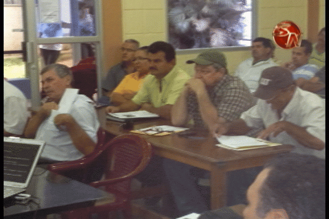 Participantes. Participantes.