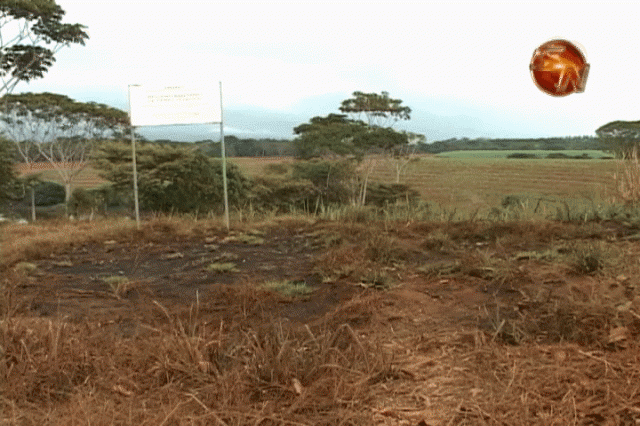 Tendrán que hacer otro estudio. Tendrán que hacer otro estudio.