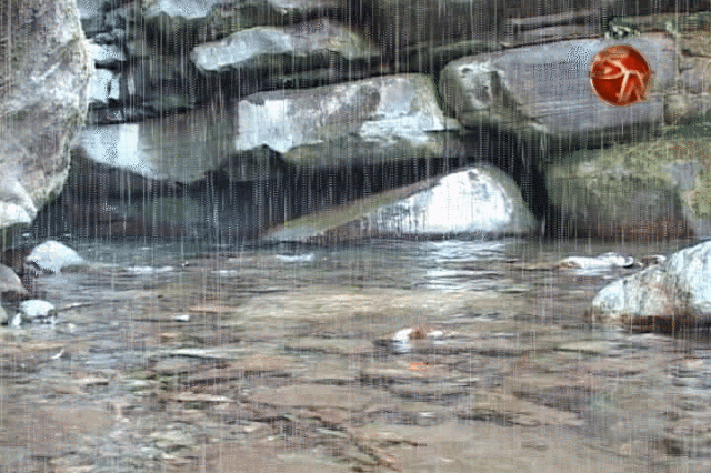 Hablarán del proyecto. Hablarán del proyecto.