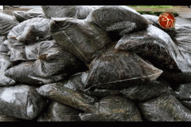 La basura está acumulada. La basura está acumulada.