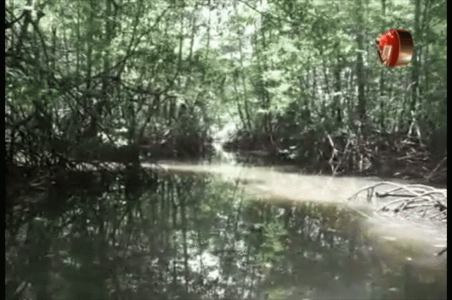 La Sala emitió una resolución. La Sala emitió una resolución.