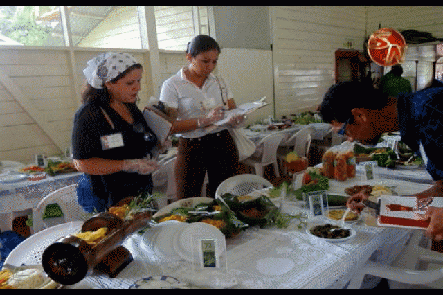 Imagen prensa MCJ. Imagen prensa MCJ.