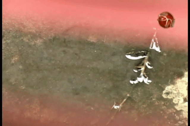 Cubrirán distintos barrios. Cubrirán distintos barrios.