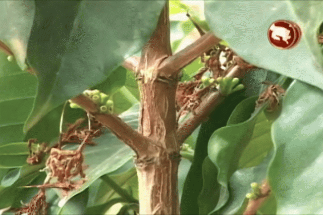 Darán recursos a afectados. Darán recursos a afectados.