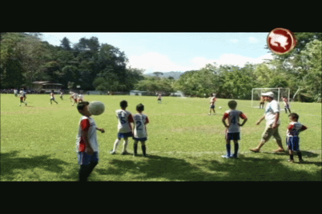 Habrá caminata. Habrá caminata.