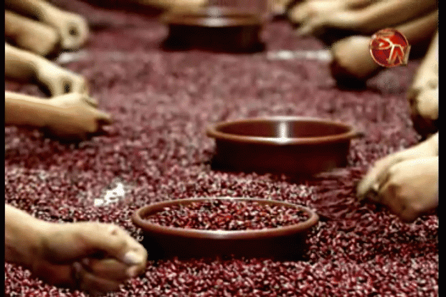 Enviaron una carta. Enviaron una carta.