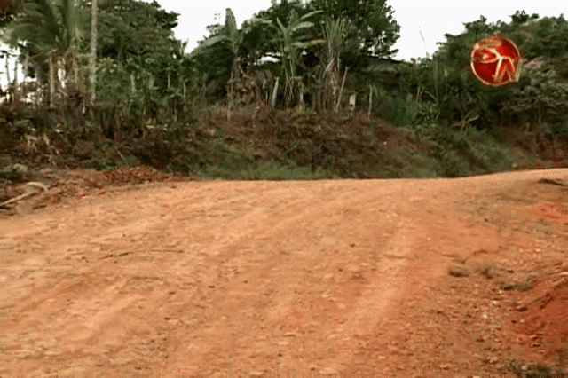 No apelarán resolución. No apelarán resolución.